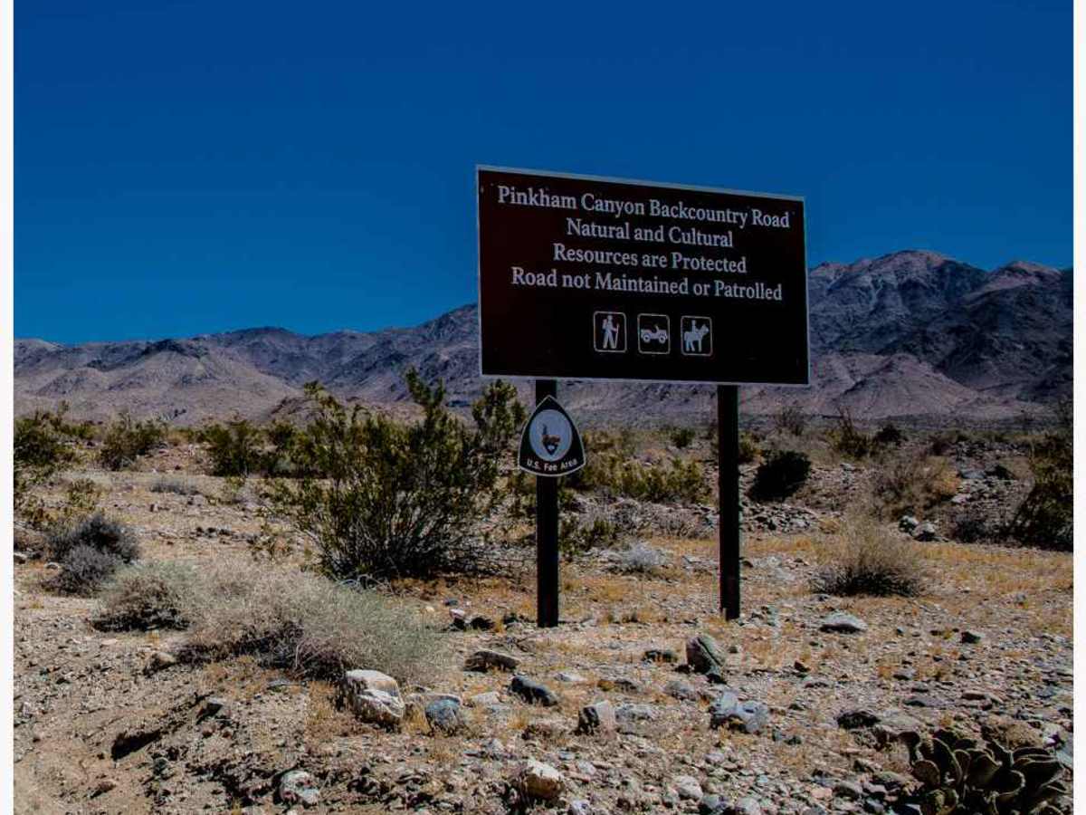 Lower Pinkham Canyon photo 3
