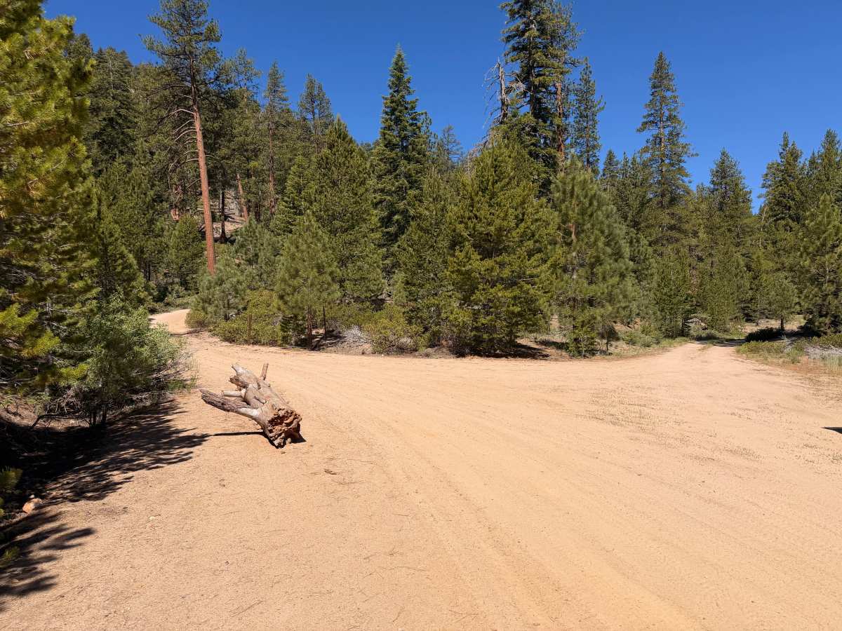Smith Mountain Road - FS 21S37 photo 4