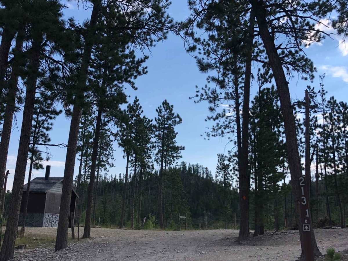 Custer Peak Fire Lookout trail photo