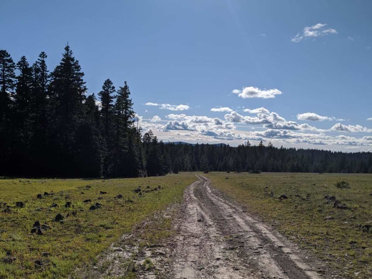 RD 2630 / Summit Trail photo 5