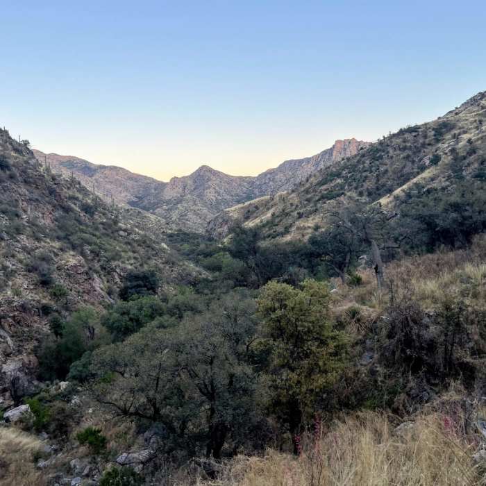 Near Santa Catalina Mountains Loop Near Santa Catalina Mountains Loop
