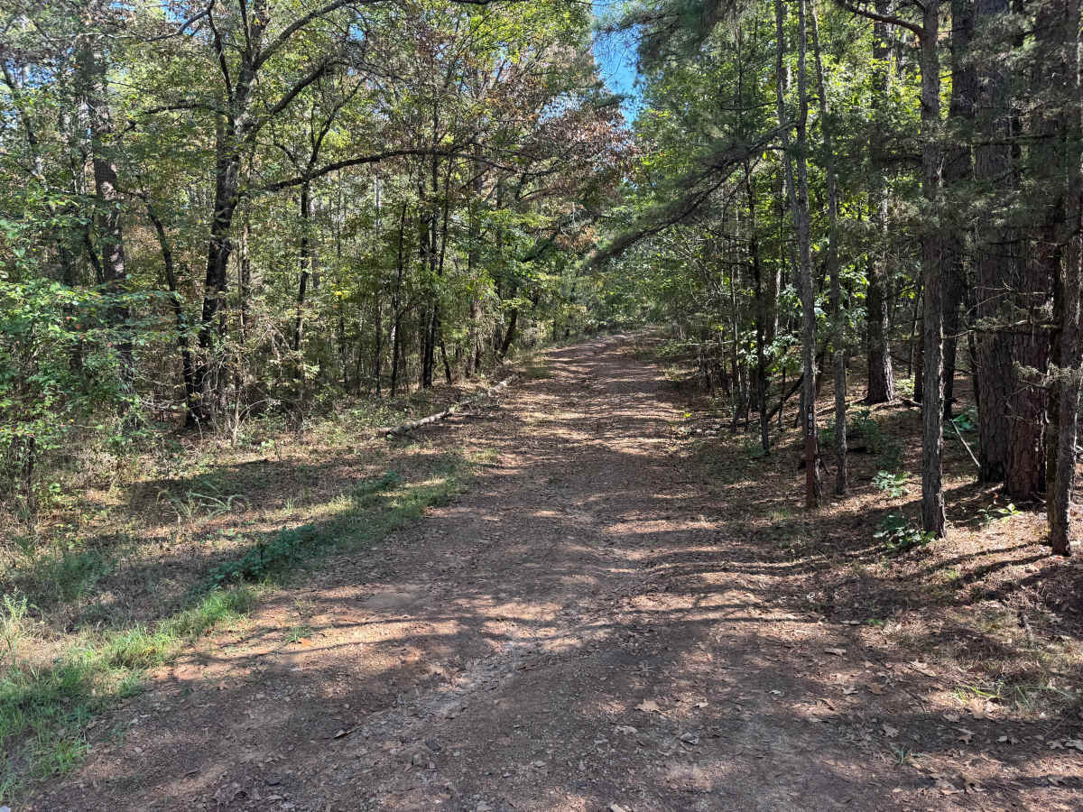 Lipe trail photo
