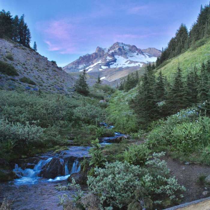 Near Paradise Park Loop