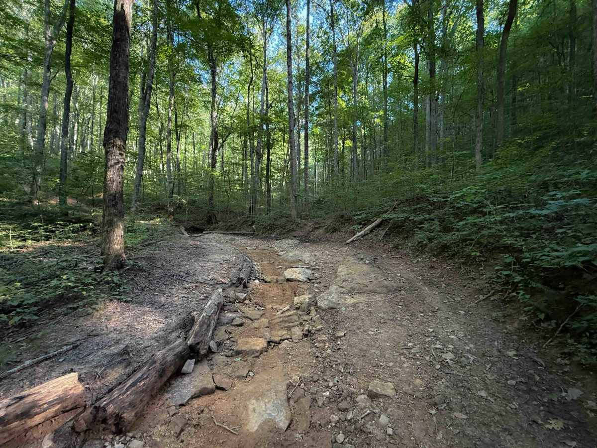 Dry Fork Trail  photo 3