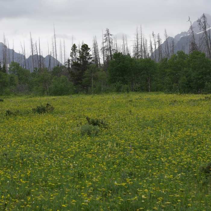 Near Beaver Pond Trail