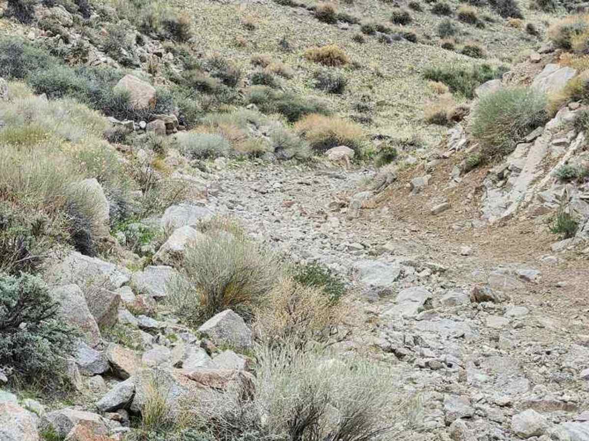 Hudson Pass photo 5
