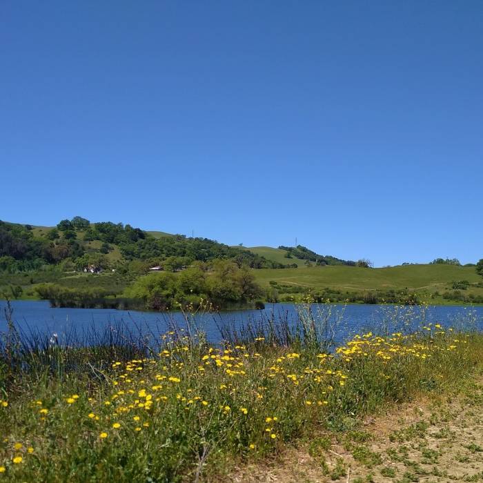Near Grant View Loop