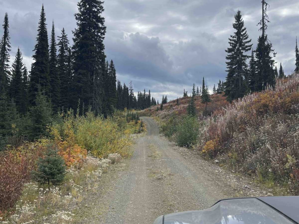 Raydar Rd photo 3