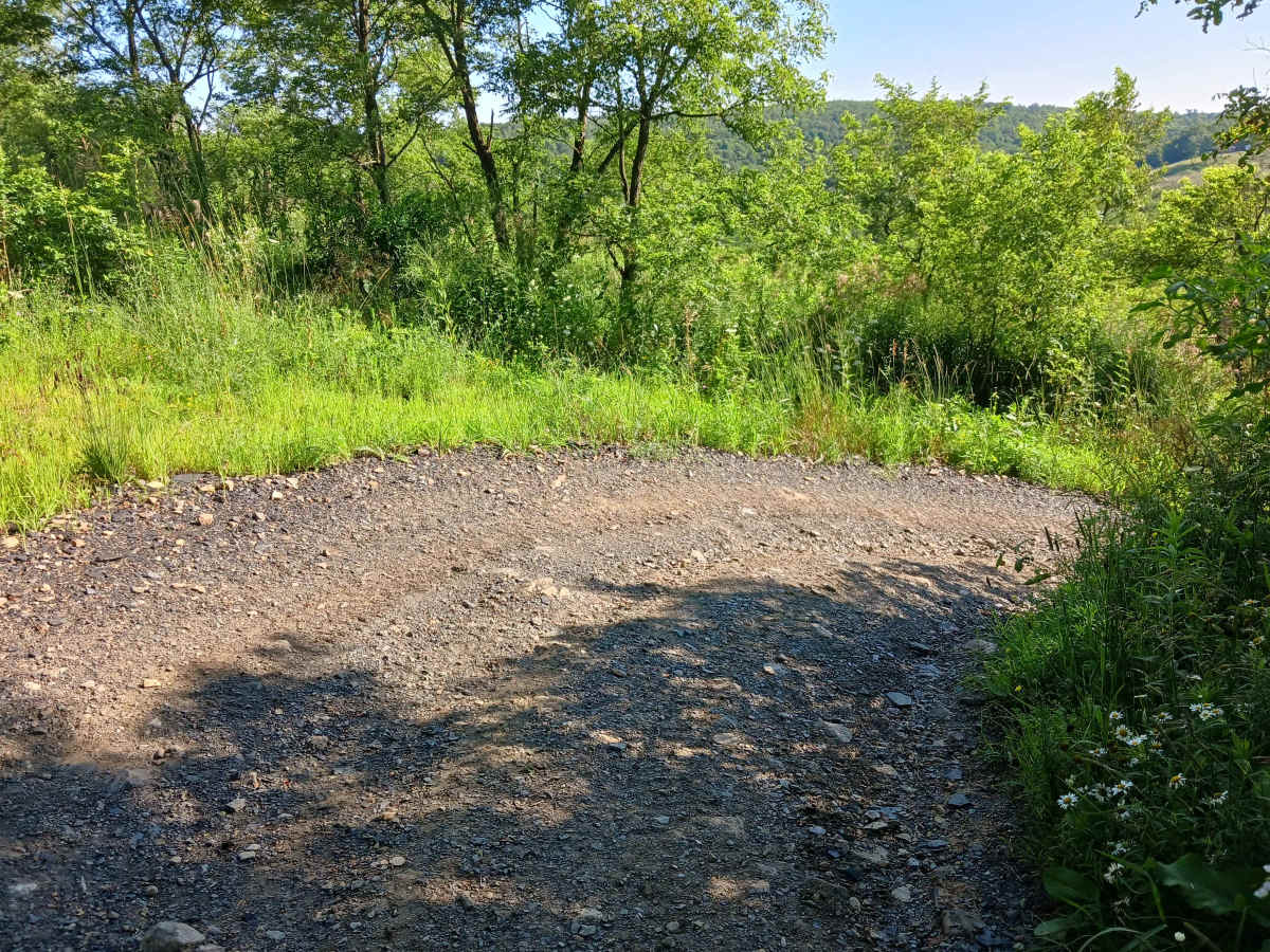Trail 12X - Rock Run Recreation Area photo 6