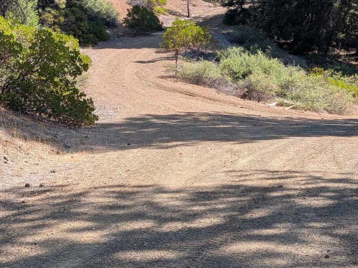 Plumb Road - FS 1N26 trail photo