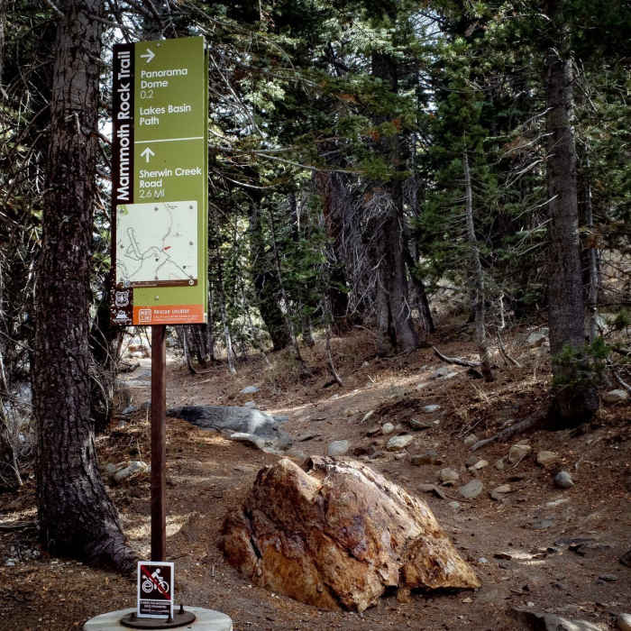 Near Mammoth Rock Trail