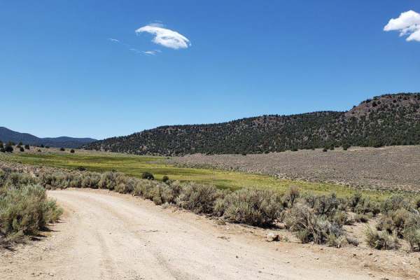 Desert Creek Loop