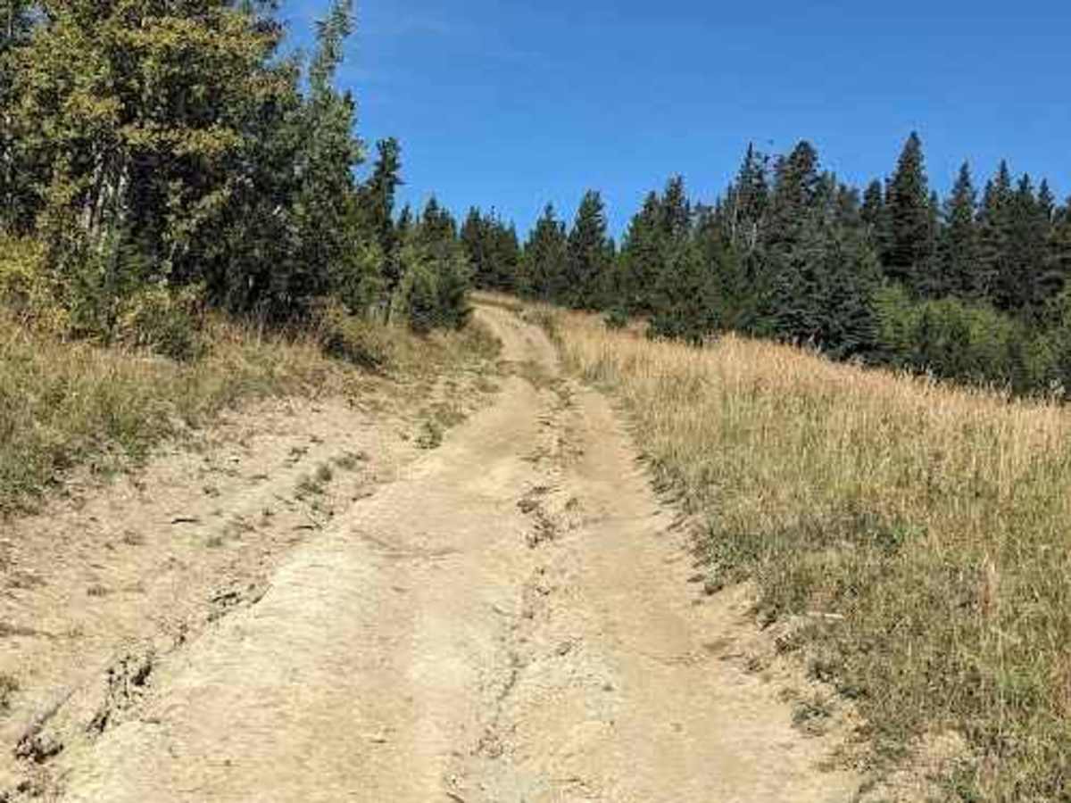 Porcupine Hills Trail  32 photo 3