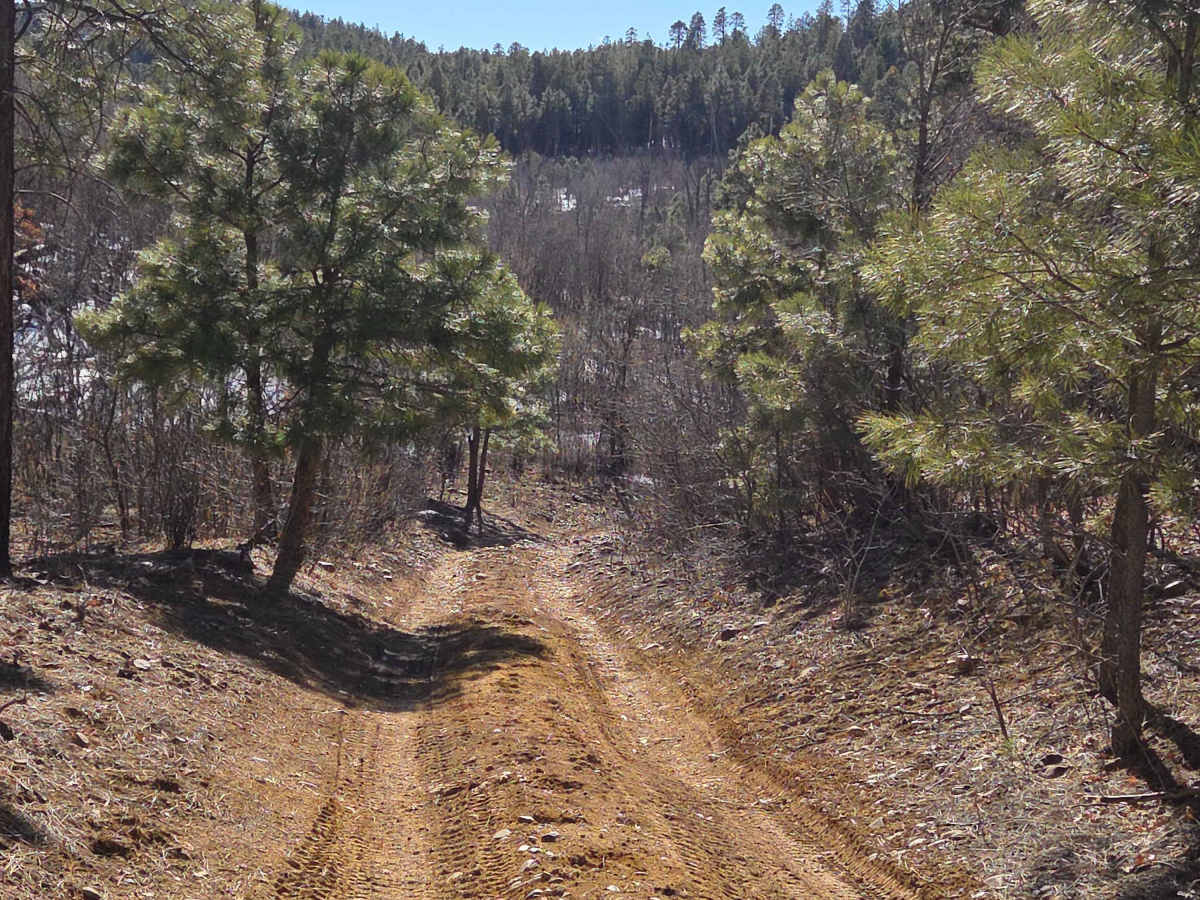 Old Verde Road photo 6