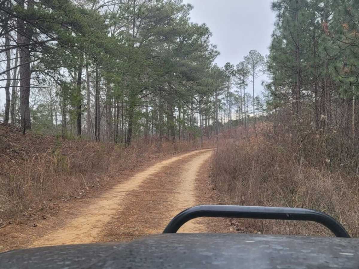USFSR# 549 trail photo