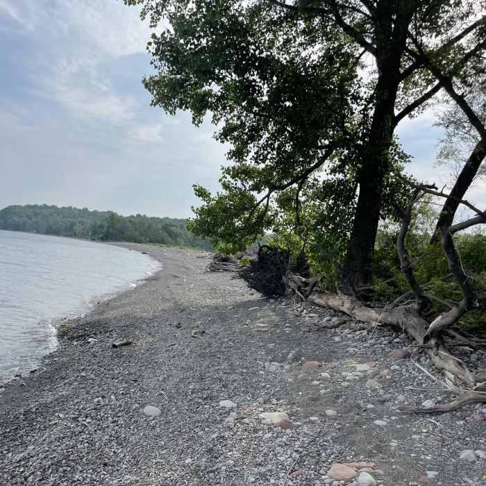 Near Lakeshore / Woodland Loop