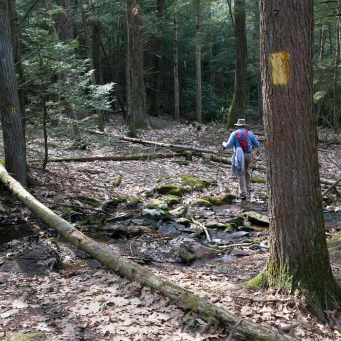 Near Lake View Trail Near Lake View Trail