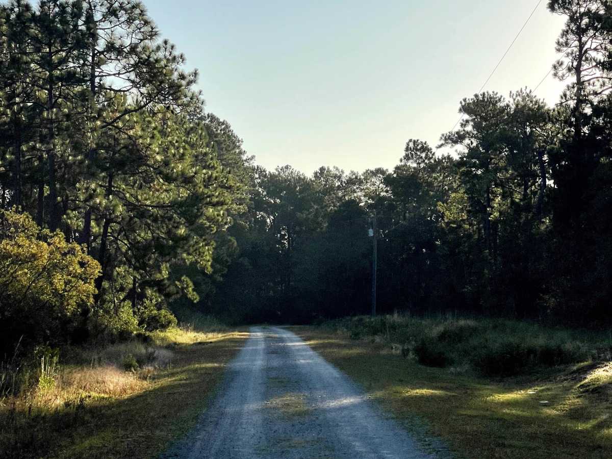 Ranch Road trail photo