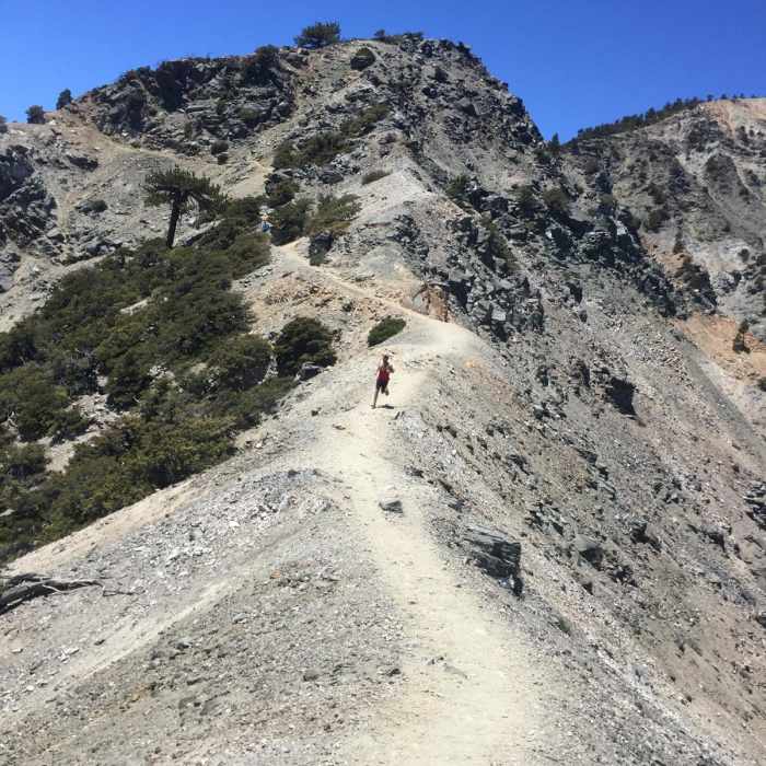 Near Mount San Antonio / Mount Baldy Loop (Clockwise)