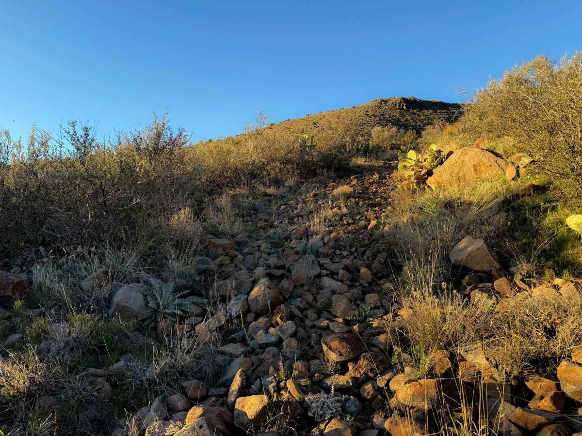 Section 23 Tank #9878  trail photo