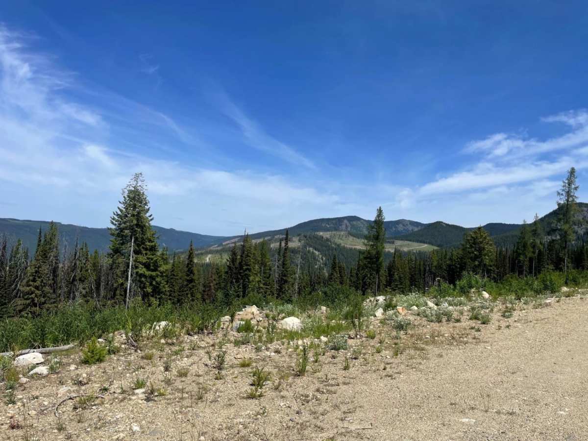Grizzly Refuge photo 4