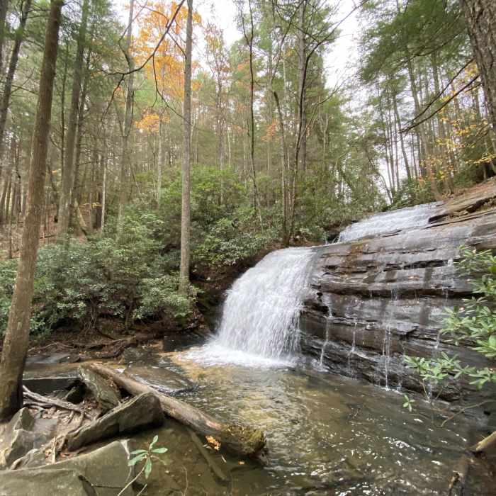 Near Long Creek Falls