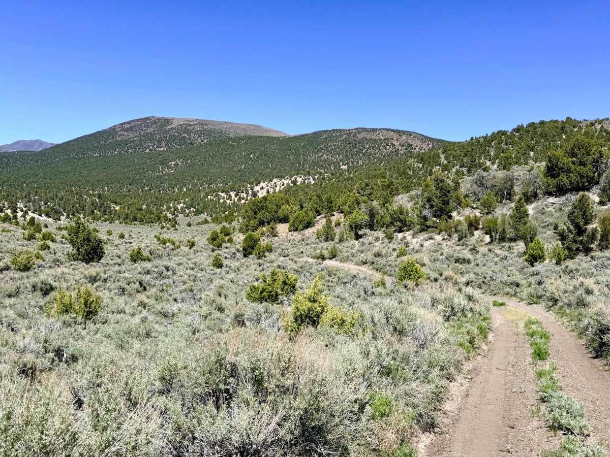  Brock Canyon - FS 43292 photo 6