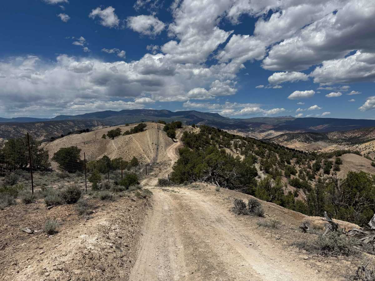 BLM 8461C trail photo