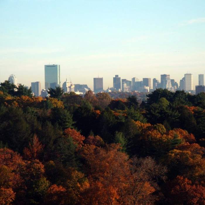 Boston Skyline from summit of Peters Hill Near Arnold Arboretum Tour