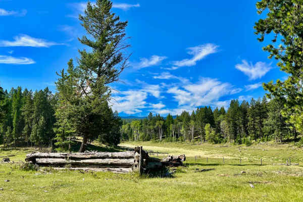 Old Homestead