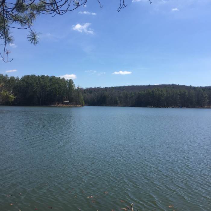 Near Shaver's Creek Lake Loop