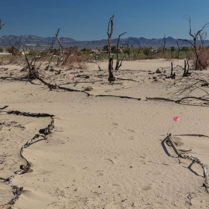 Near Swift Water Trail