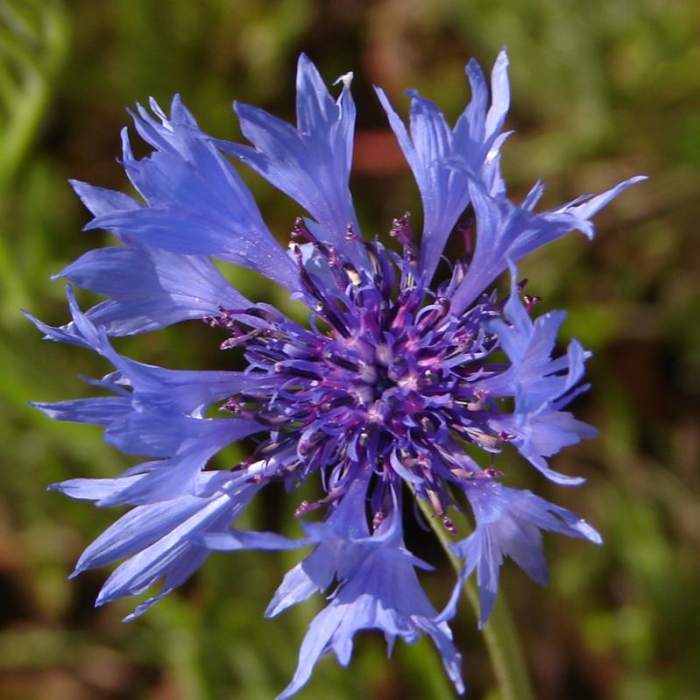 Near Mosier Creek Falls + Plateau Trail