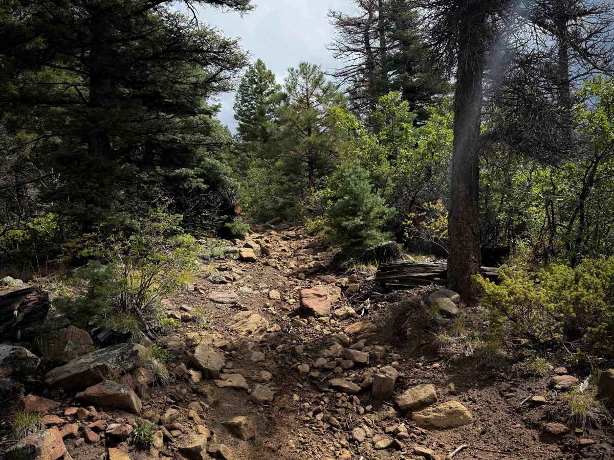 Ojito Maes Trail - FS 182  trail photo