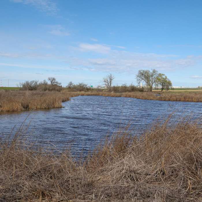 Near Burbank Slough Wildlife Trail