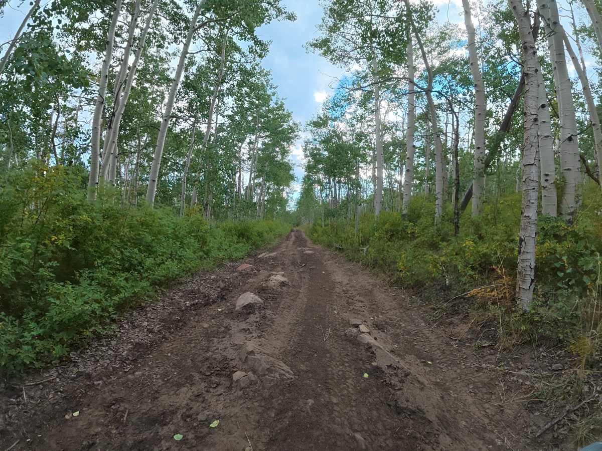 Bug Point Road photo 4