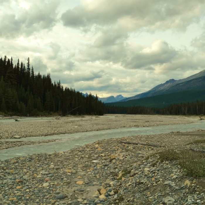 Near Moose River Route: Smoky River Crossing to Moose Pass