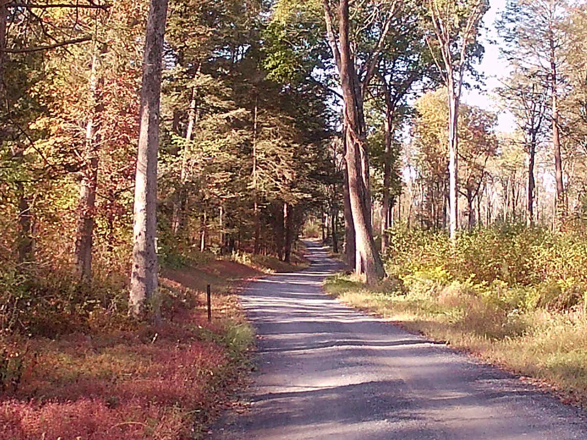 Decker Run Road photo 5