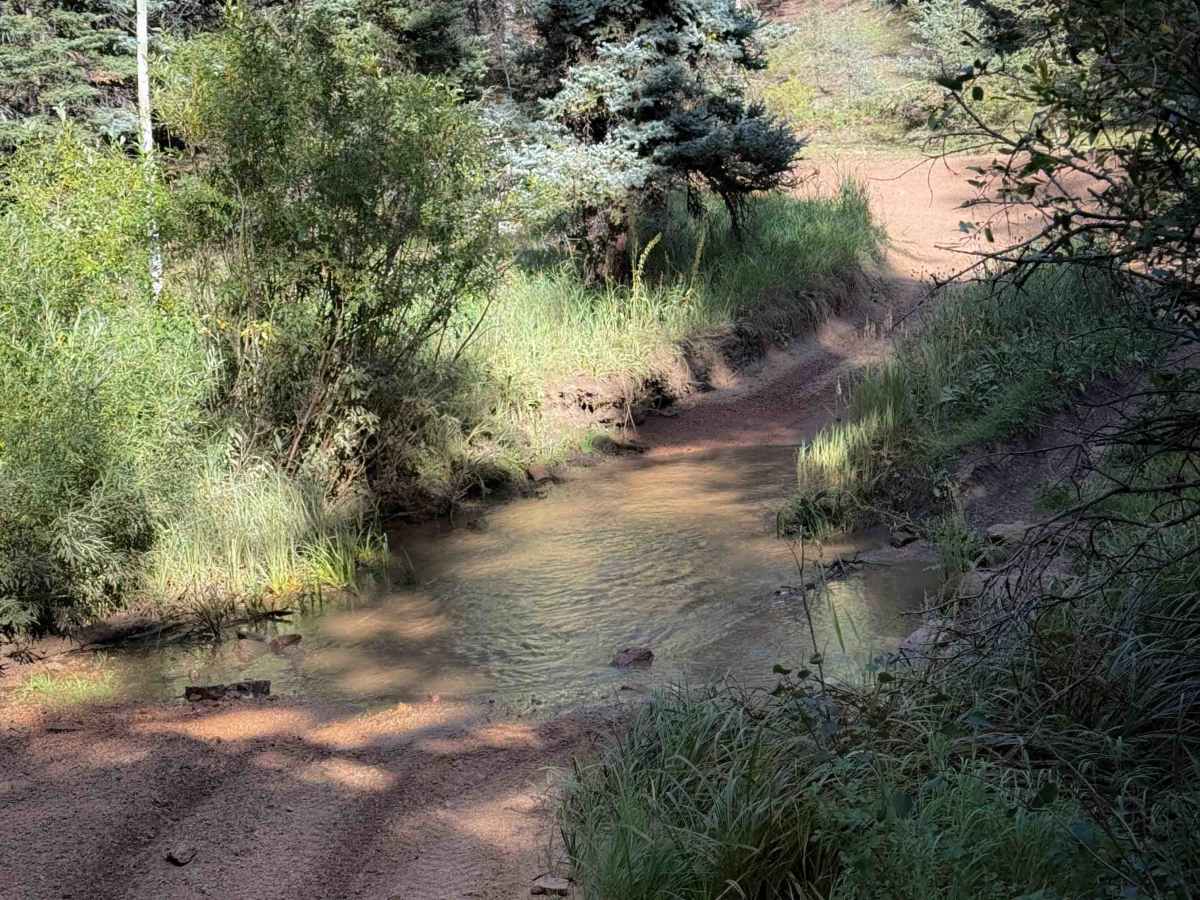 Rule Spur Trail - FS 717A  photo 3