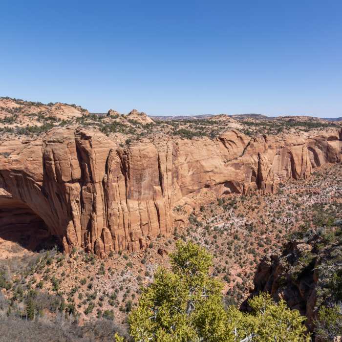 Near Sandal Trail