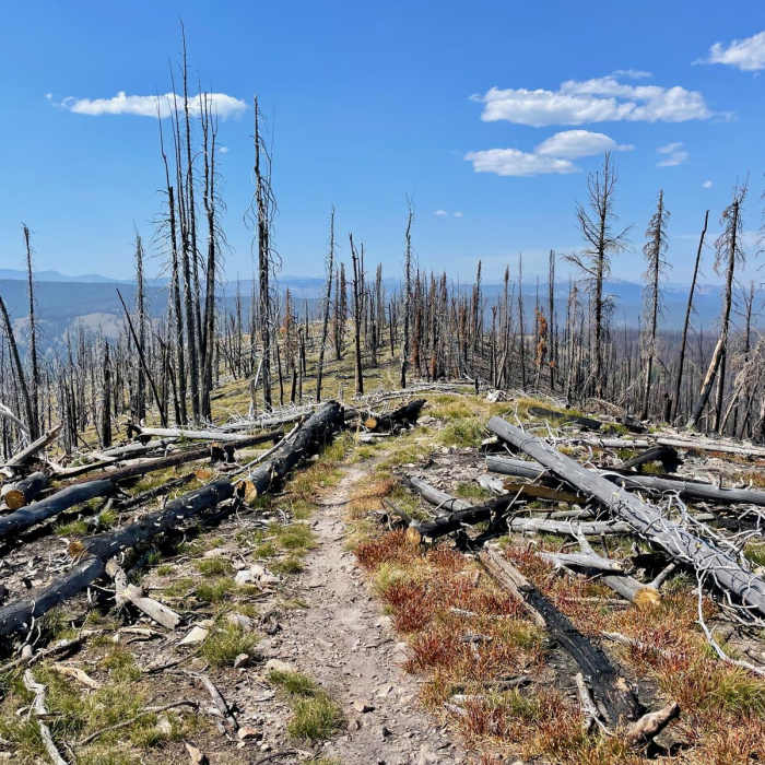 Near Continental Divide Trail: Montana-Idaho Section 12
