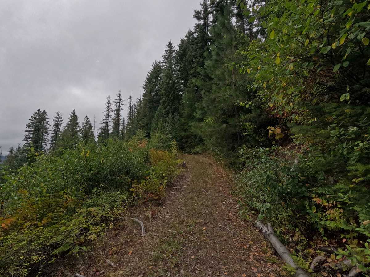 Goose Creek Point - FS 2730B photo 4