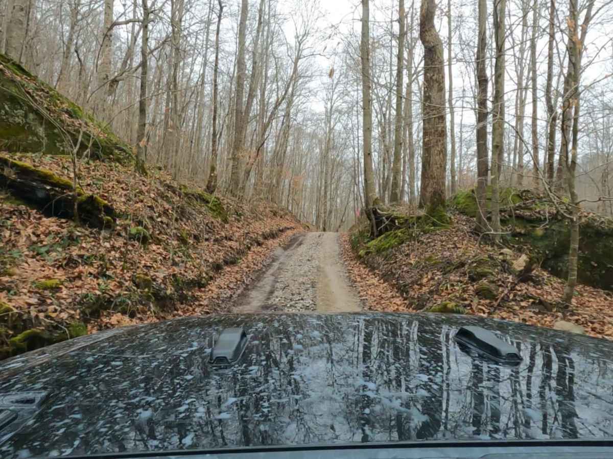 Pumpkin Hollow Rd trail photo
