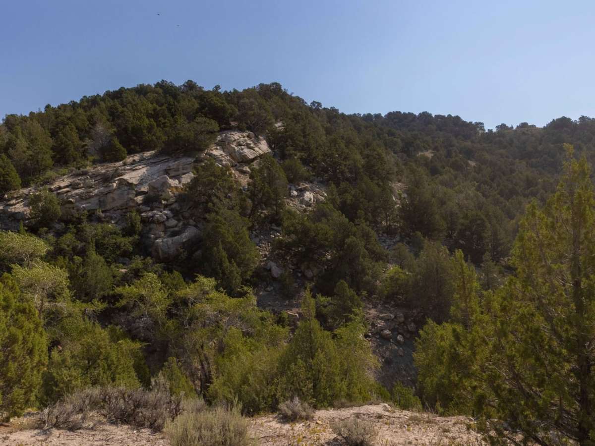 Birch Creek Trail photo 3