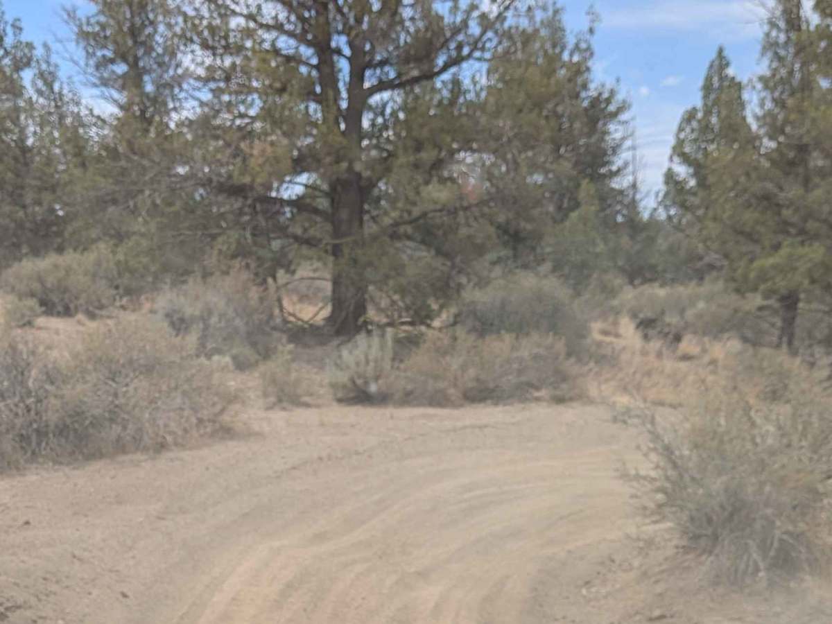 Cline Buttes OHV Trail 21 photo 6
