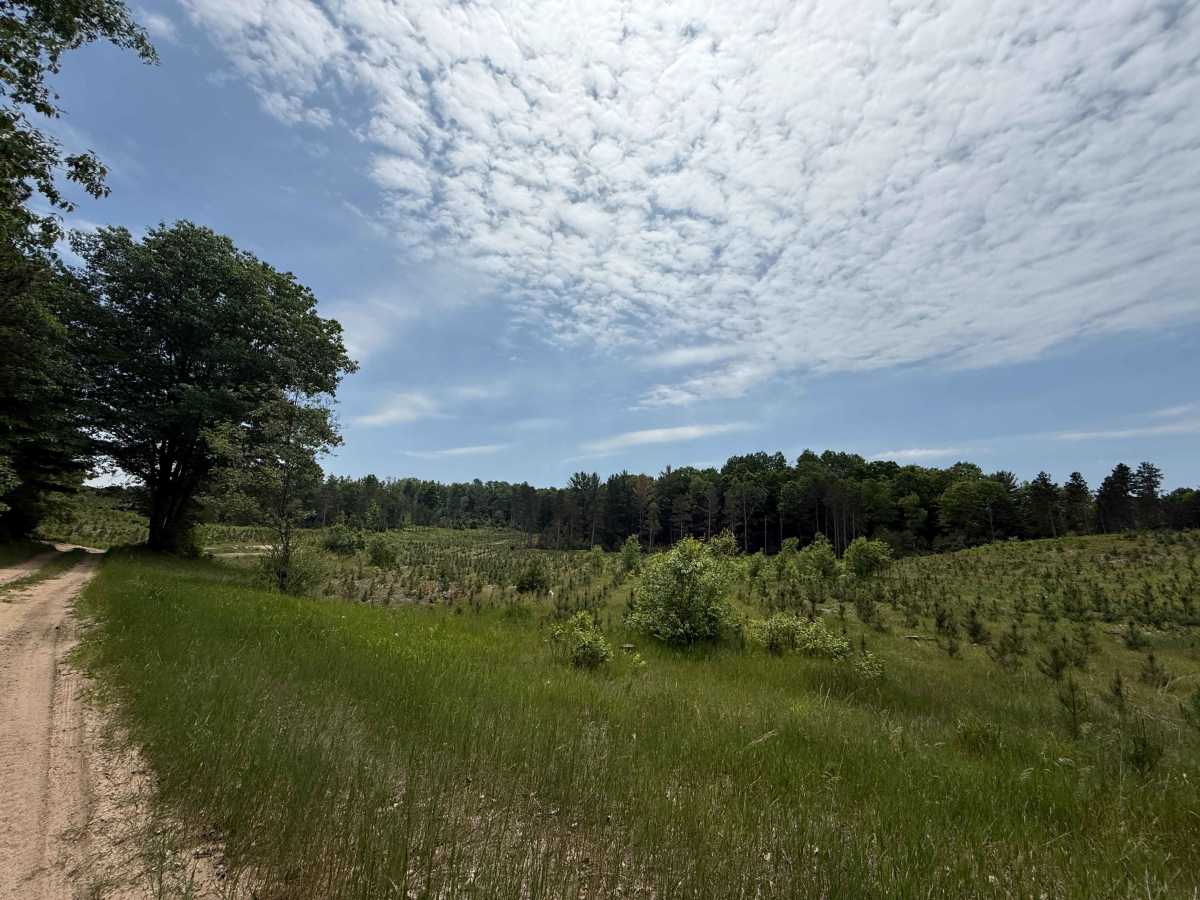 Vinton Trail West photo 6