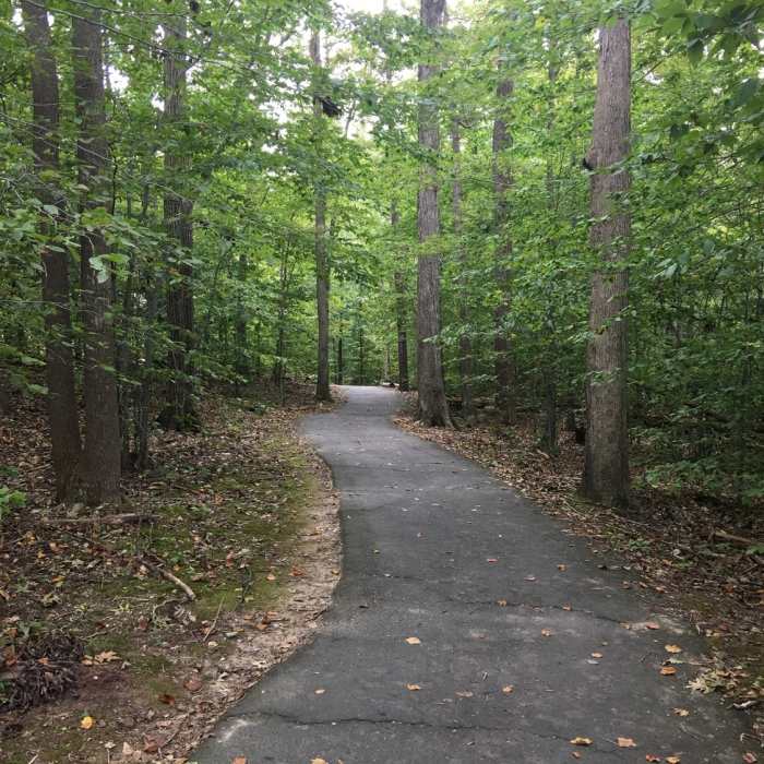 Near Burke Lake Trail