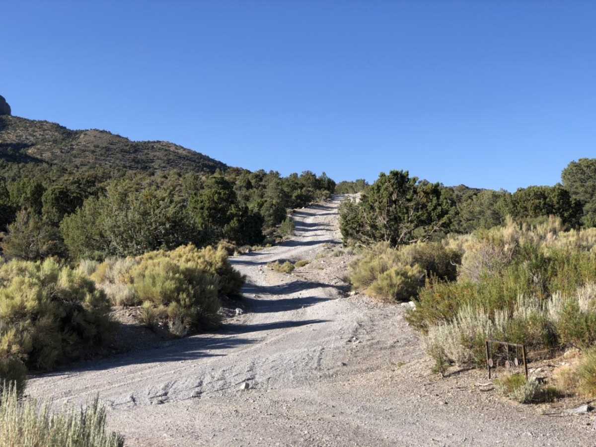 Potosi Pass Road photo 4