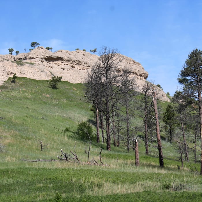 Near Chadron State Park Near Chadron State Park