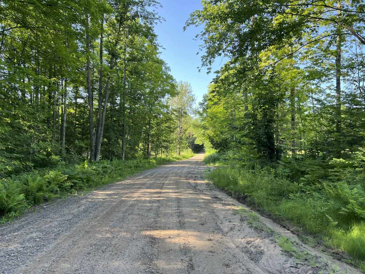 Brady Lake Road photo 4